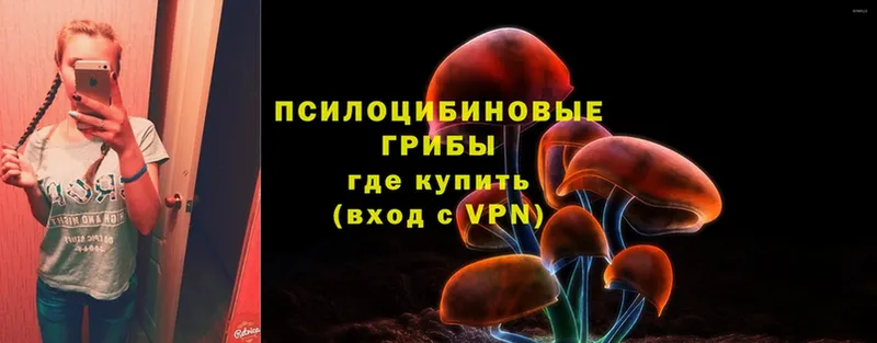 Галлюциногенные грибы Cubensis  darknet телеграм  Болхов 